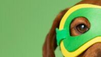 Creative Green Wiener